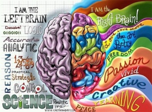 Are you left brained or right brained? 